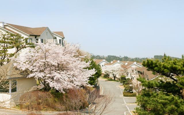 경주 마우나 오션 리조트